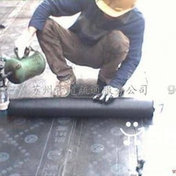 蘇州房屋防水補漏與漏水維修工程專業指南